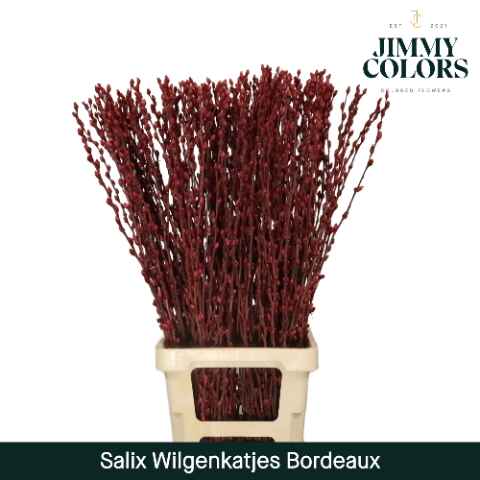 Срезанные цветы оптом Salix paint pussy willow bordeaux от 10шт из Голландии с доставкой по России