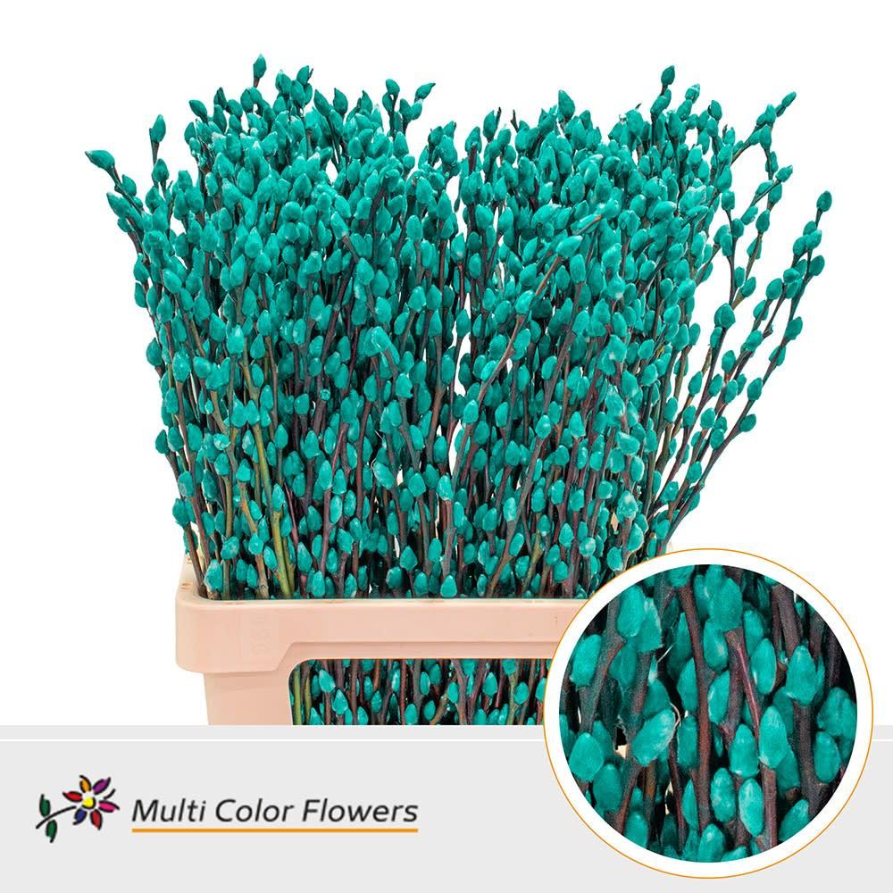 Срезанные цветы оптом Salix paint pussy willow turquoise от 200шт из Голландии с доставкой по России