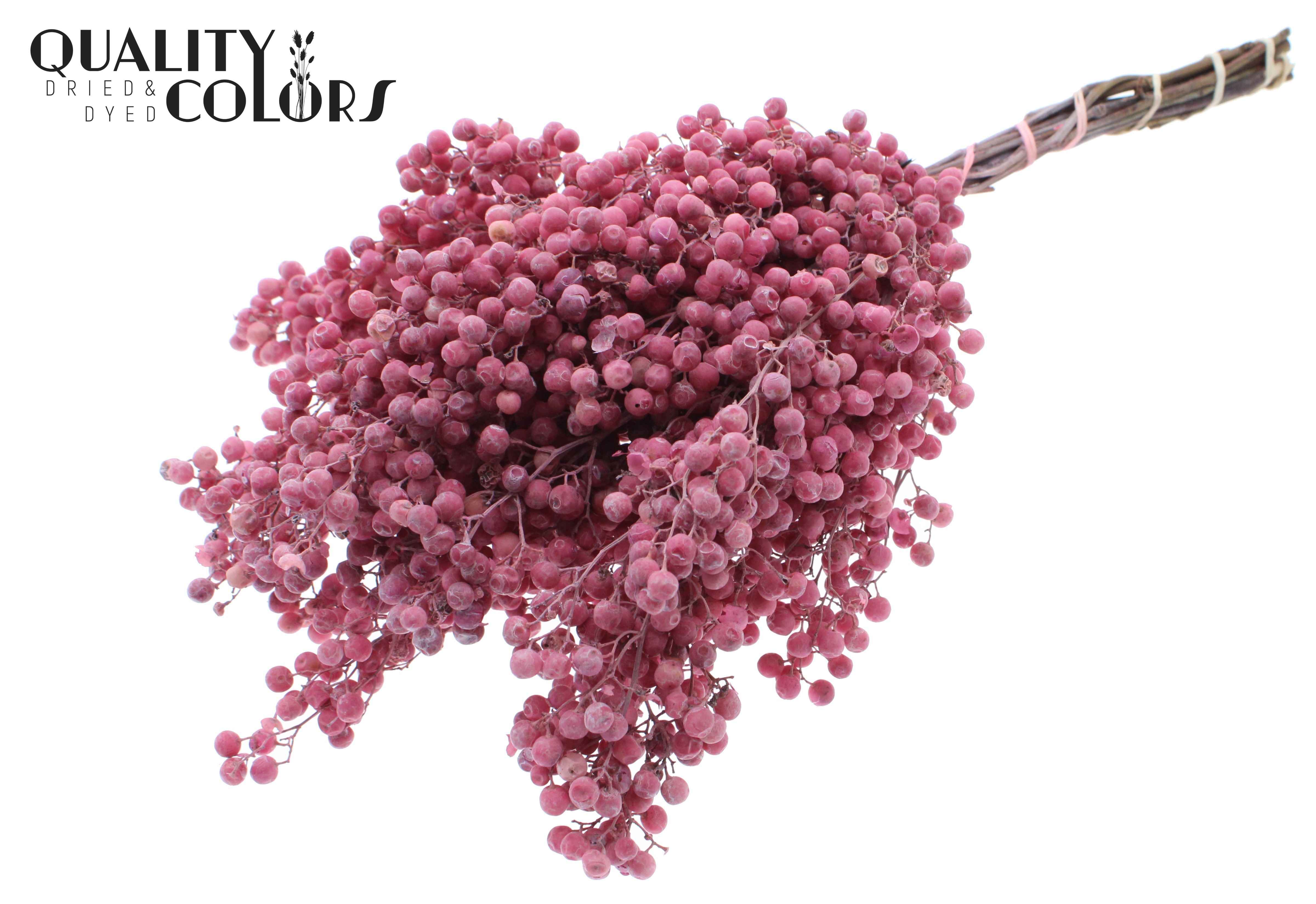 Срезанные цветы оптом Pepperberries per bunch in poly frosted pink от 5шт из Голландии с доставкой по России