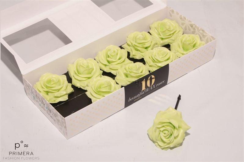 Срезанные цветы оптом Rosa large silk wax mintgreen от 10шт из Голландии с доставкой по России