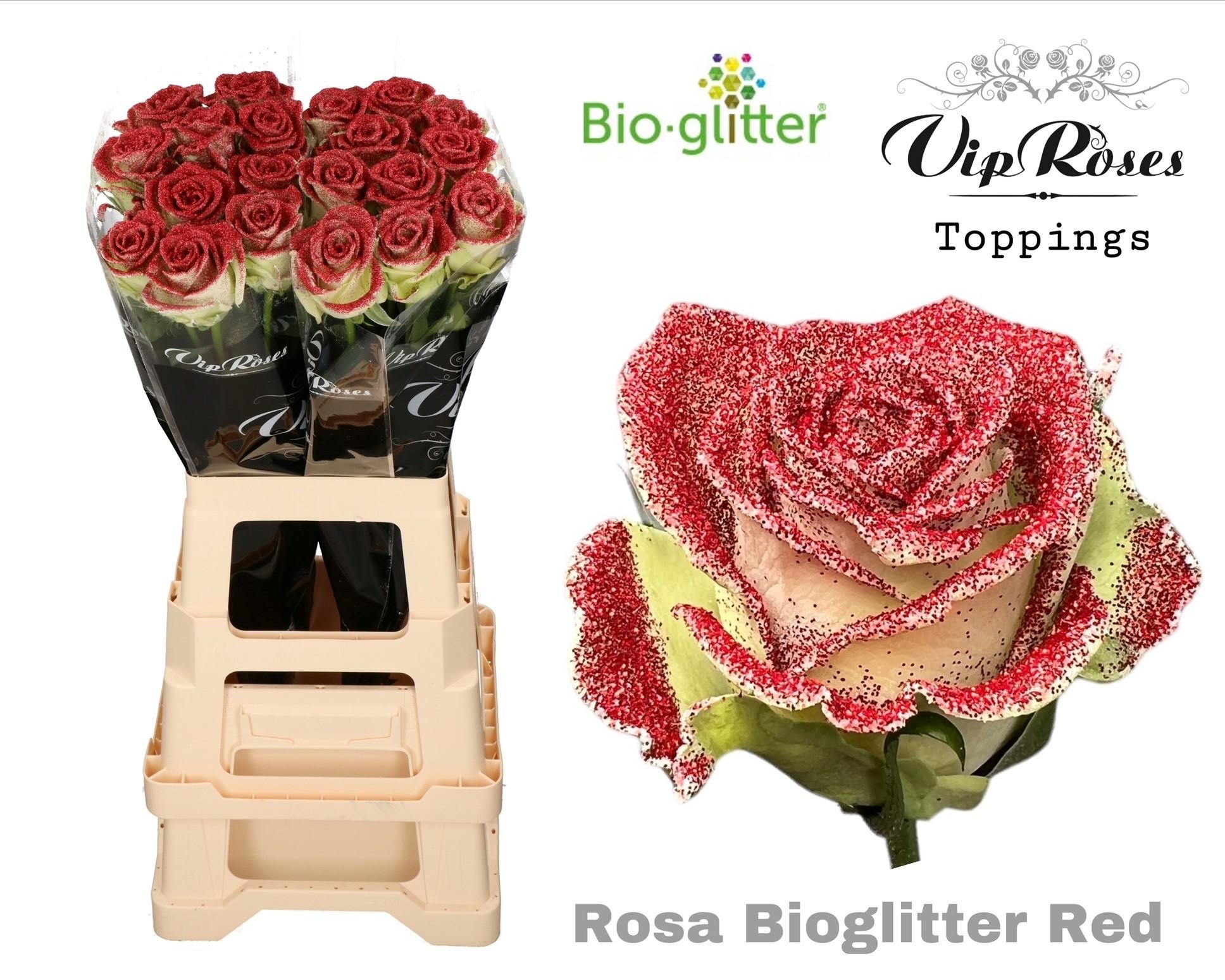 Срезанные цветы оптом Rosa large paint bio glitter red от 20шт из Голландии с доставкой по России