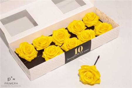 Срезанные цветы оптом Rosa large silk wax yellow от 10шт из Голландии с доставкой по России