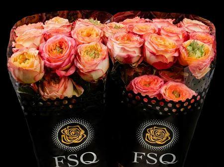 Срезанные цветы оптом Rosa garden houdini от 40шт из Голландии с доставкой по России