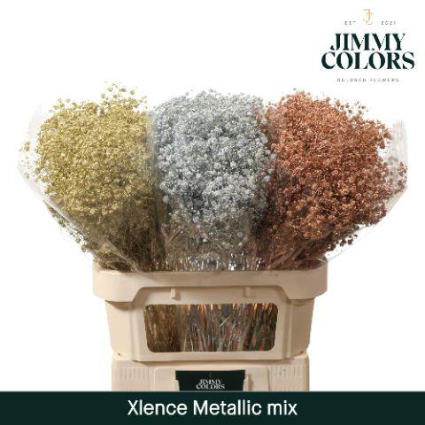 Срезанные цветы оптом Gyps large paint mix от 75шт из Голландии с доставкой по России