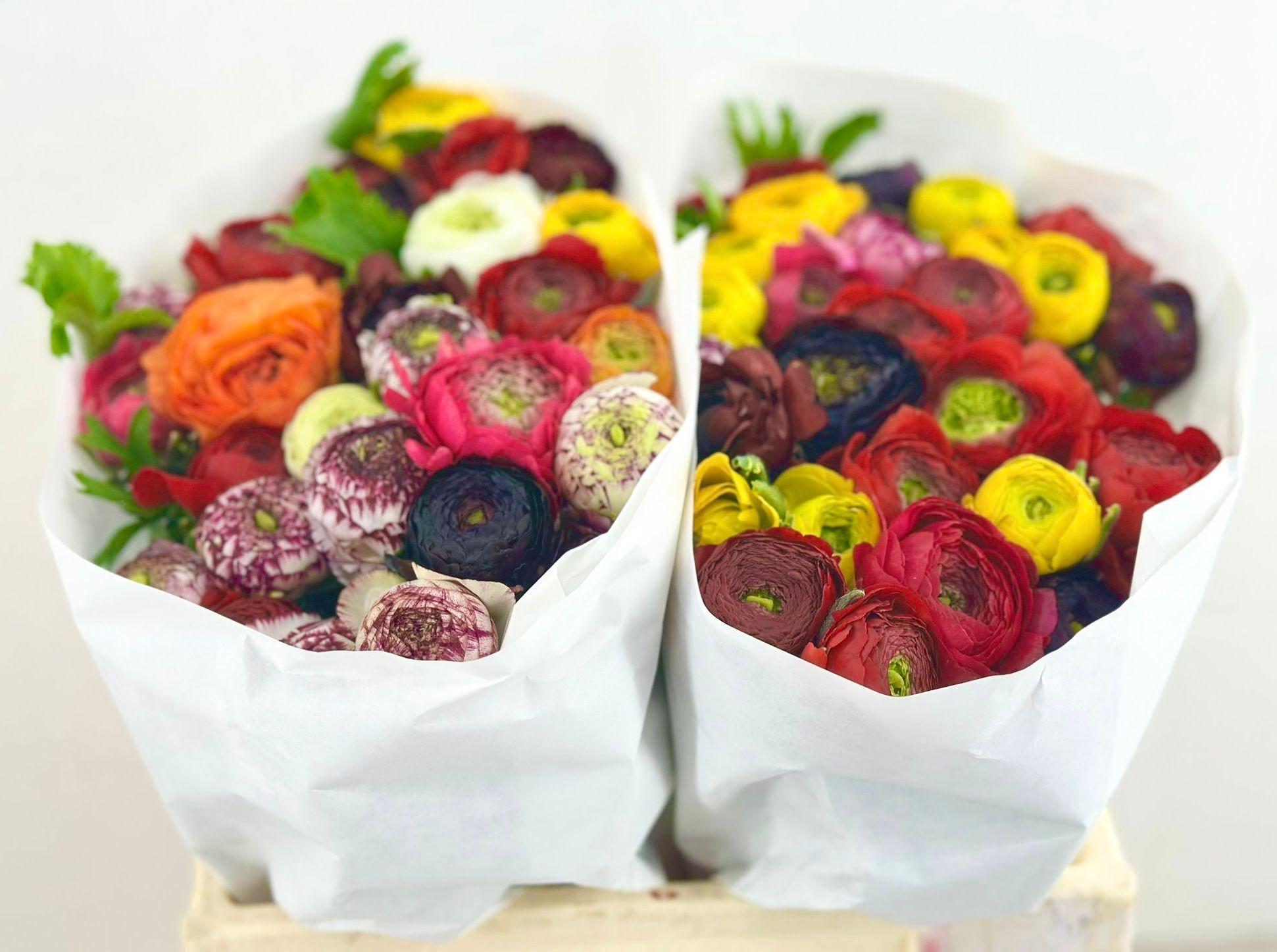 Срезанные цветы оптом Ranunculus pon pon mix rainbow от 60шт из Голландии с доставкой по России