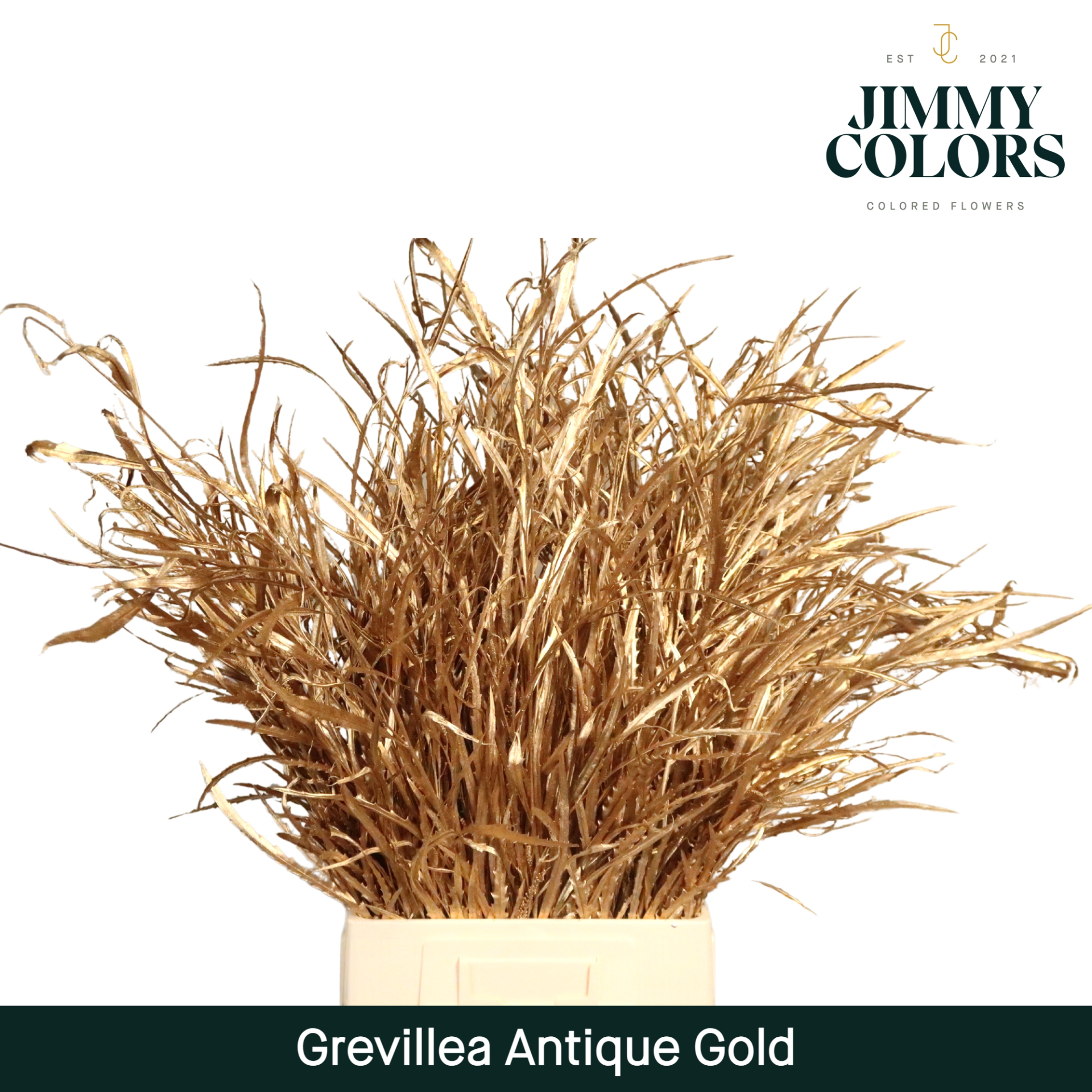 Срезанные цветы оптом Grevillea paint antique gold от 10шт из Голландии с доставкой по России