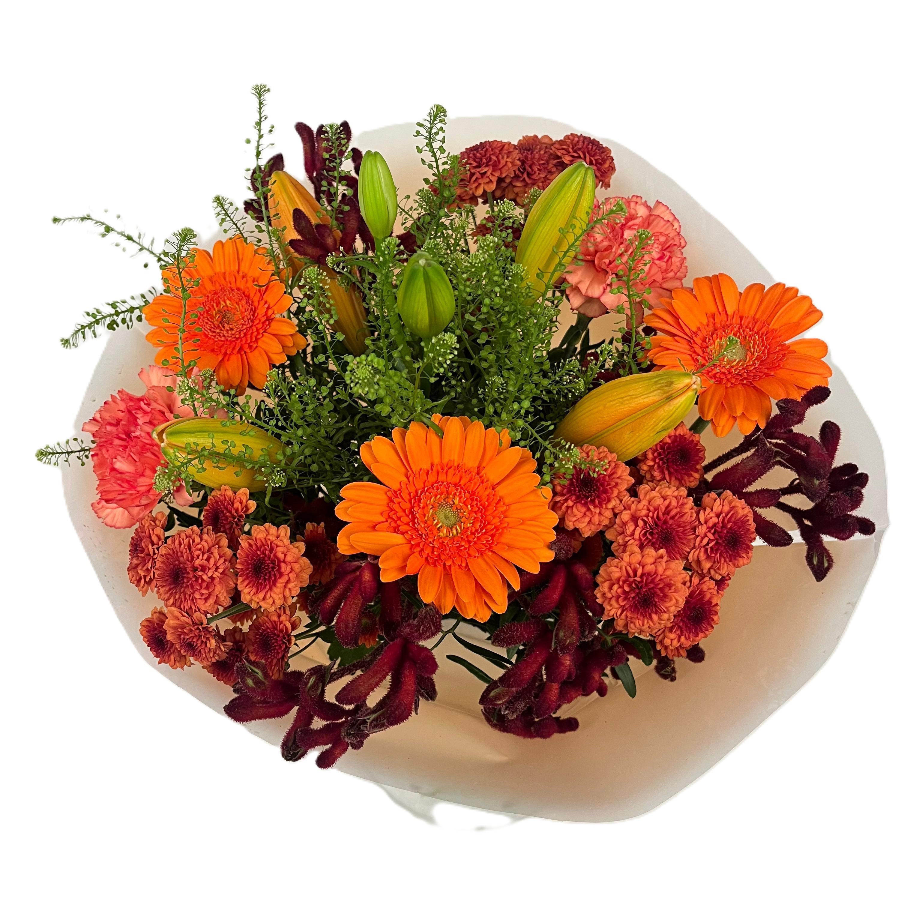 Срезанные цветы оптом Bq Volume Voltage Orange M от 3шт из Голландии с доставкой по России