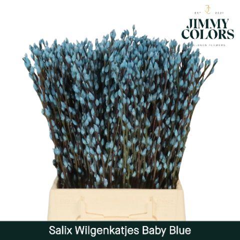 Срезанные цветы оптом Salix paint pussy willow blue light от 300шт из Голландии с доставкой по России
