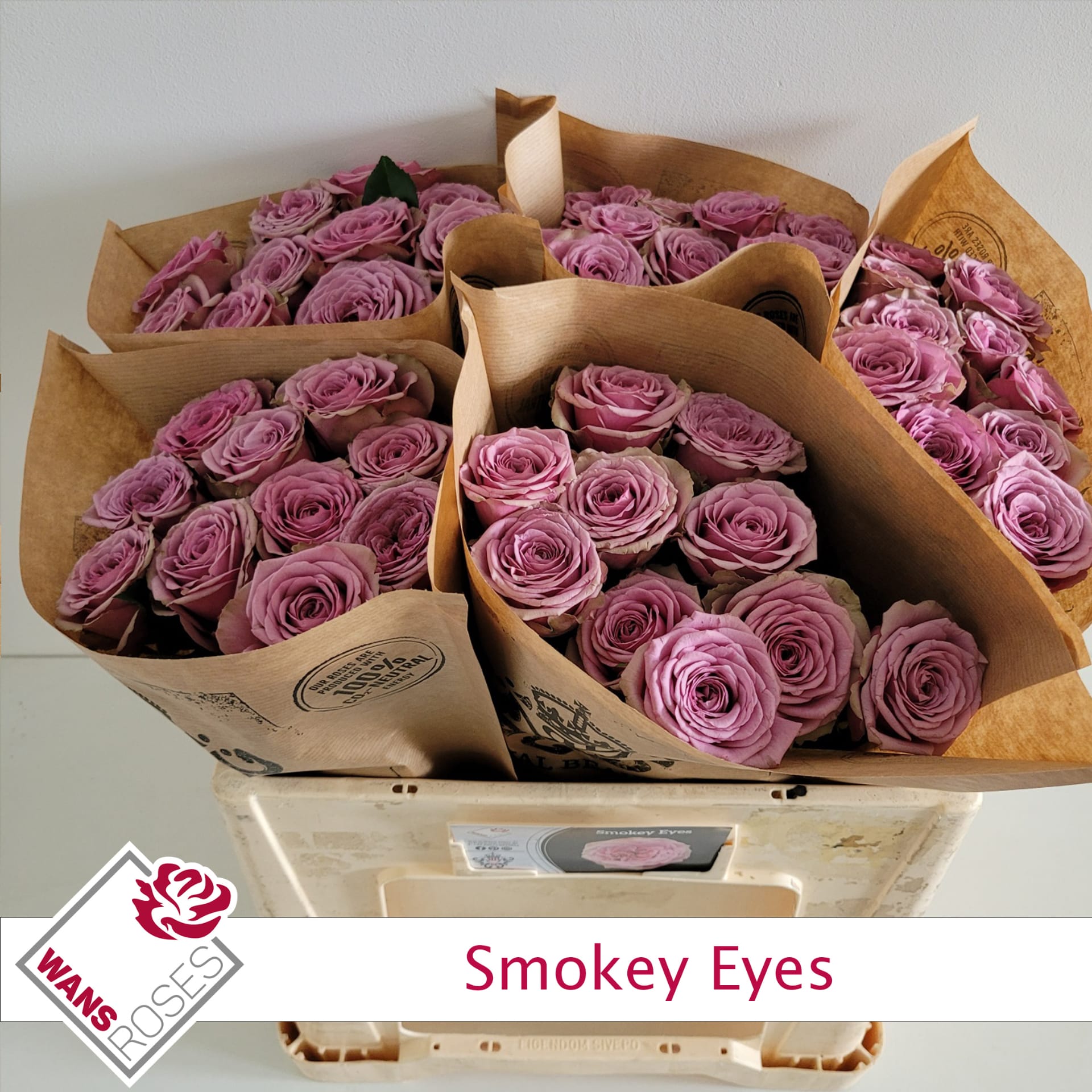Срезанные цветы оптом Rosa large smokey eyes от 50шт из Голландии с доставкой по России