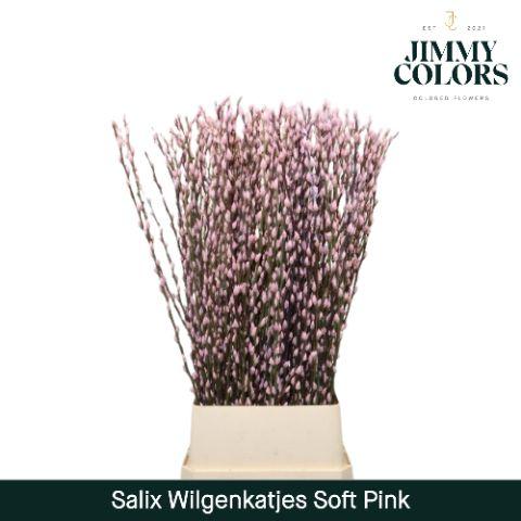 Срезанные цветы оптом Salix paint pussy willow pink light от 100шт из Голландии с доставкой по России
