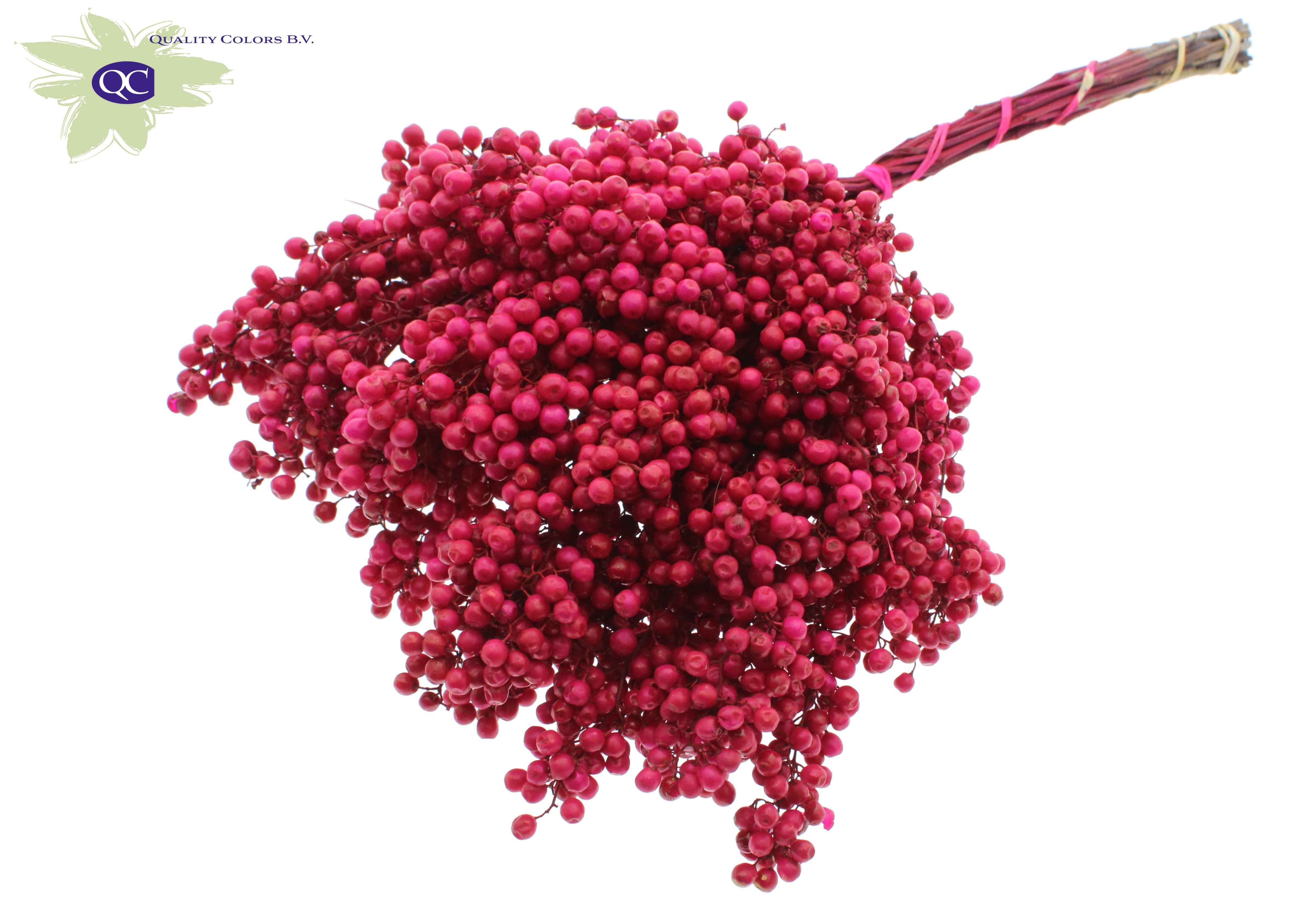 Срезанные цветы оптом Pepperberries per bunch in poly cerise от 5шт из Голландии с доставкой по России