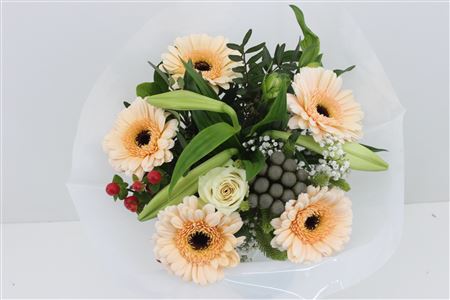 Срезанные цветы оптом Bouquet luna salmon от 3шт из Голландии с доставкой по России