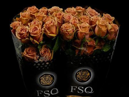 Срезанные цветы оптом Rosa ec toffee от 50шт. из Голландии с доставкой по России