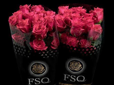 Срезанные цветы оптом Rosa ec hot explorer от 40шт из Голландии с доставкой по России