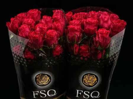 Срезанные цветы оптом Rosa ec brave от 40шт из Голландии с доставкой по России