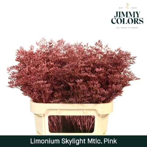 Срезанные цветы оптом Limonium skylight paint metallic pink от 75шт из Голландии с доставкой по России