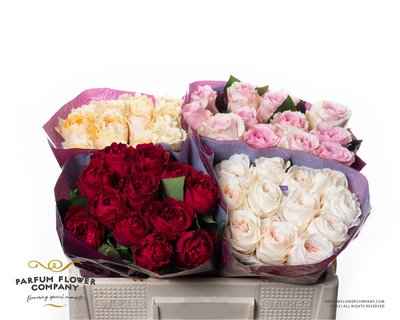 Срезанные цветы оптом Rosa la austin mix от 48шт из Голландии с доставкой по России