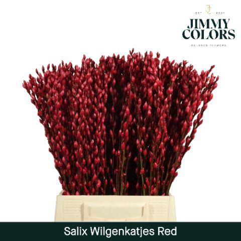 Срезанные цветы оптом Salix paint pussy willow red от 300шт из Голландии с доставкой по России