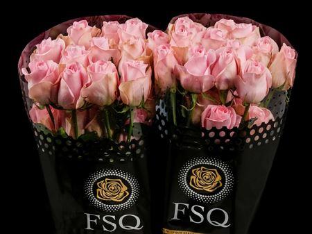 Срезанные цветы оптом Rosa ec luciano от 50шт из Голландии с доставкой по России