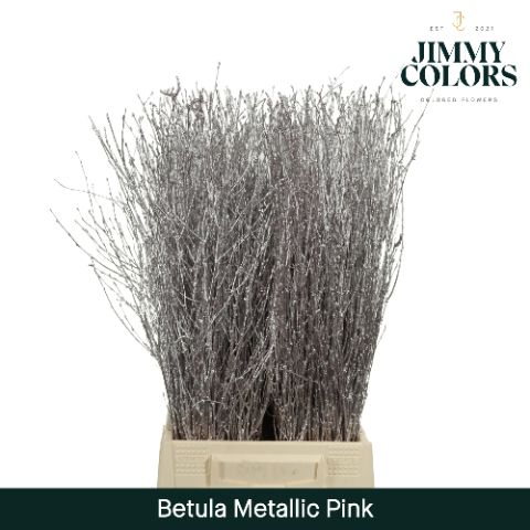 Срезанные цветы оптом Betula paint metallic pink от 20шт из Голландии с доставкой по России