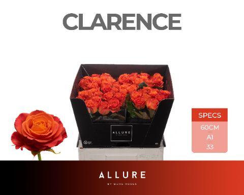 Срезанные цветы оптом Rosa large clarence Allure от 40шт из Голландии с доставкой по России