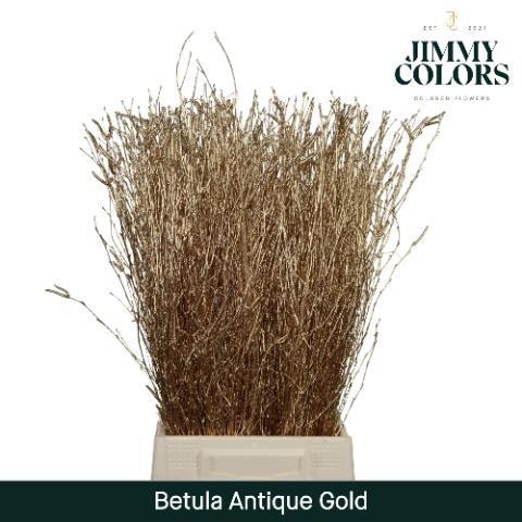 Срезанные цветы оптом Betula paint gold antique от 20шт. из Голландии с доставкой по России