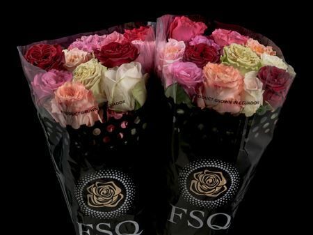 Срезанные цветы оптом Rosa la garden rainbow (scented) от 60шт из Голландии с доставкой по России