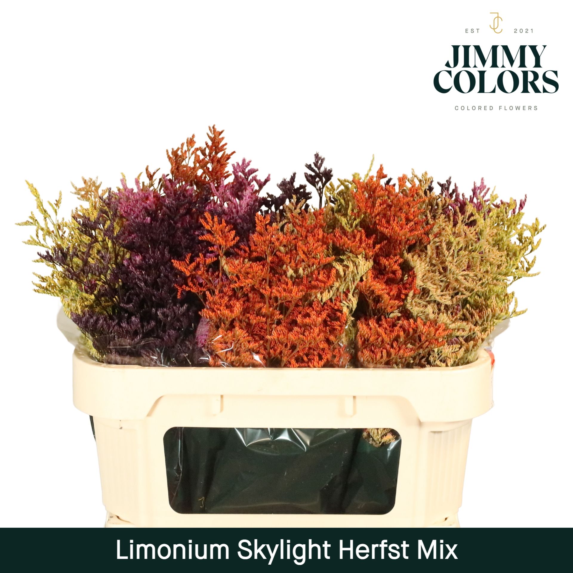 Срезанные цветы оптом Limonium paint mix autumn от 75шт из Голландии с доставкой по России