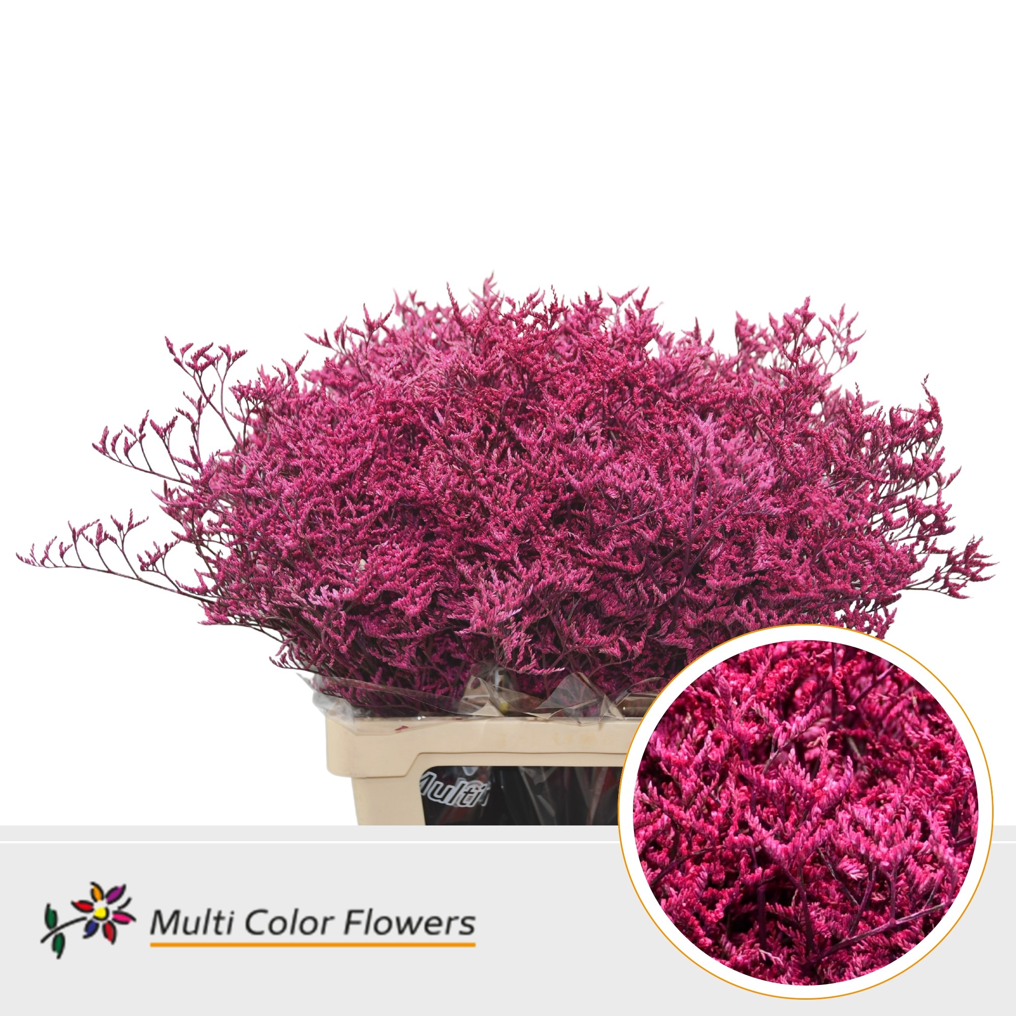 Срезанные цветы оптом Limonium paint erica от 50шт.. из Голландии с доставкой по России