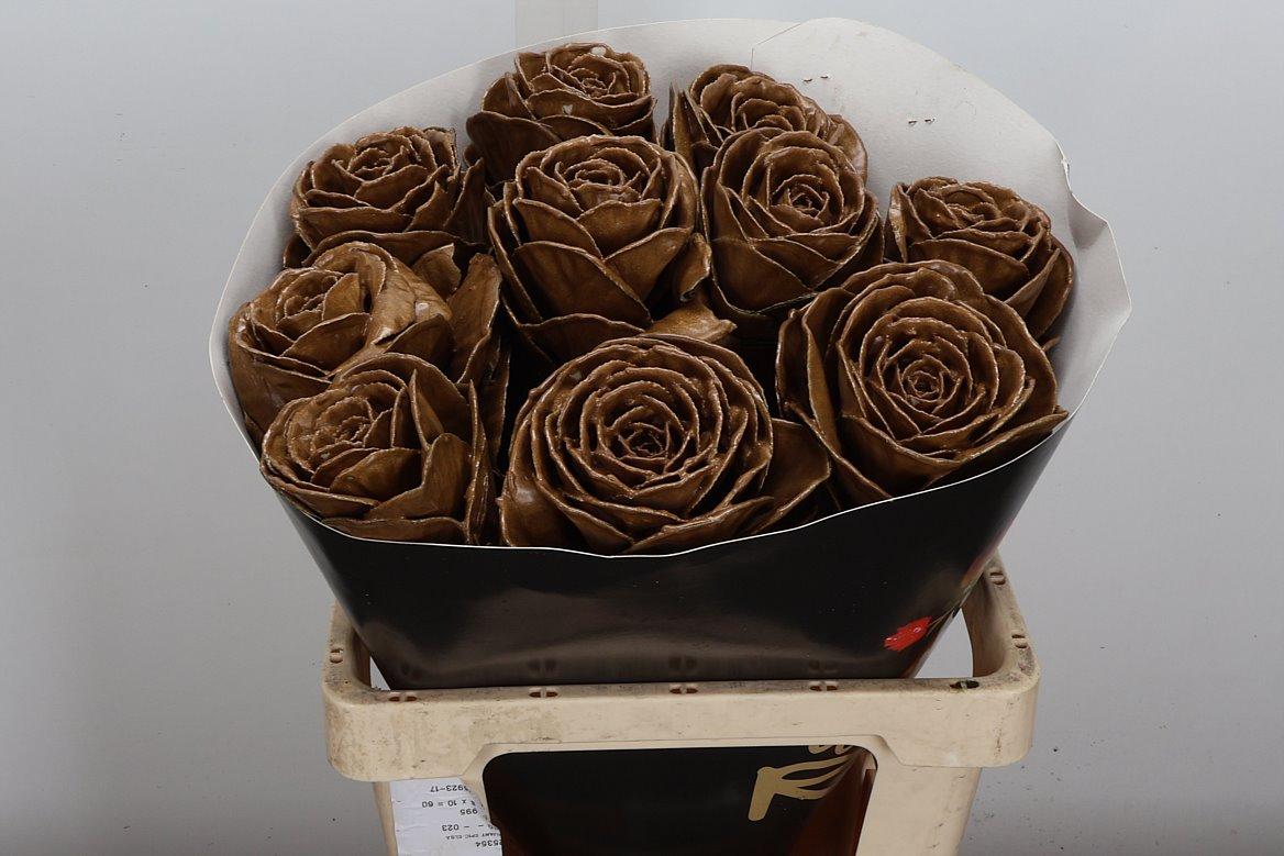 Срезанные цветы оптом Brassica wax caramel от 10шт из Голландии с доставкой по России