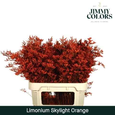 Срезанные цветы оптом Limonium skylight paint orange от 25шт из Голландии с доставкой по России