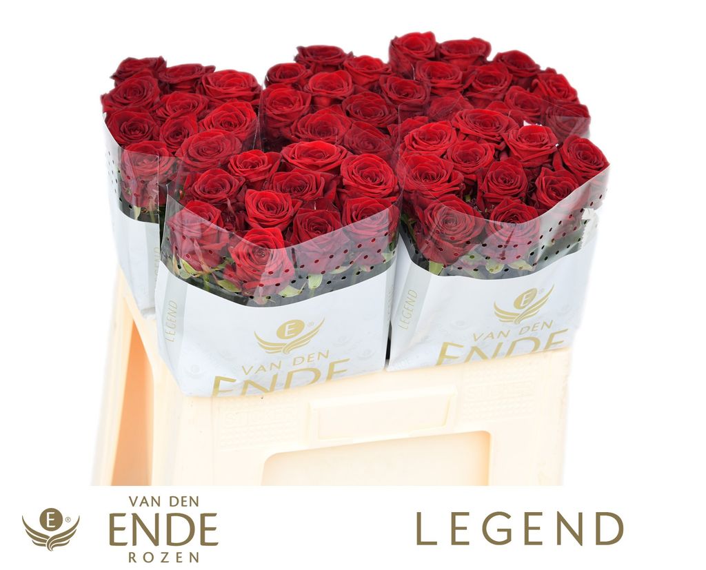 Срезанные цветы оптом Rosa large red naomi! от 60шт.... из Голландии с доставкой по России