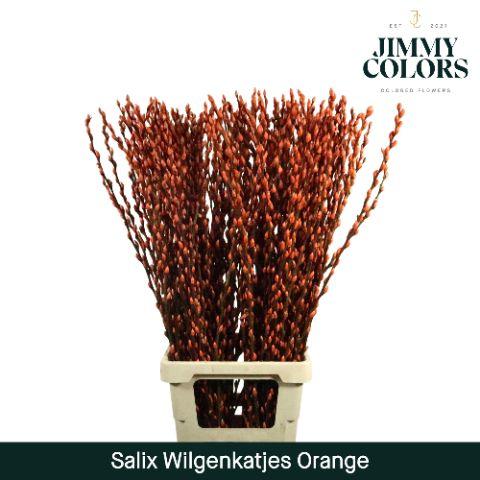 Срезанные цветы оптом Salix paint pussy willow orange от 200шт из Голландии с доставкой по России