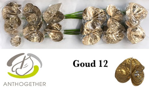 Срезанные цветы оптом Anthurium paint от 12шт из Голландии с доставкой по России