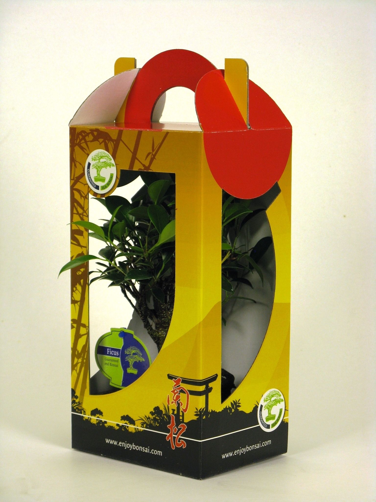 Горшечные цветы и растения оптом Bonsai Mix 15 Cm In Chinese Gift Box от 7шт из Голландии с доставкой по России