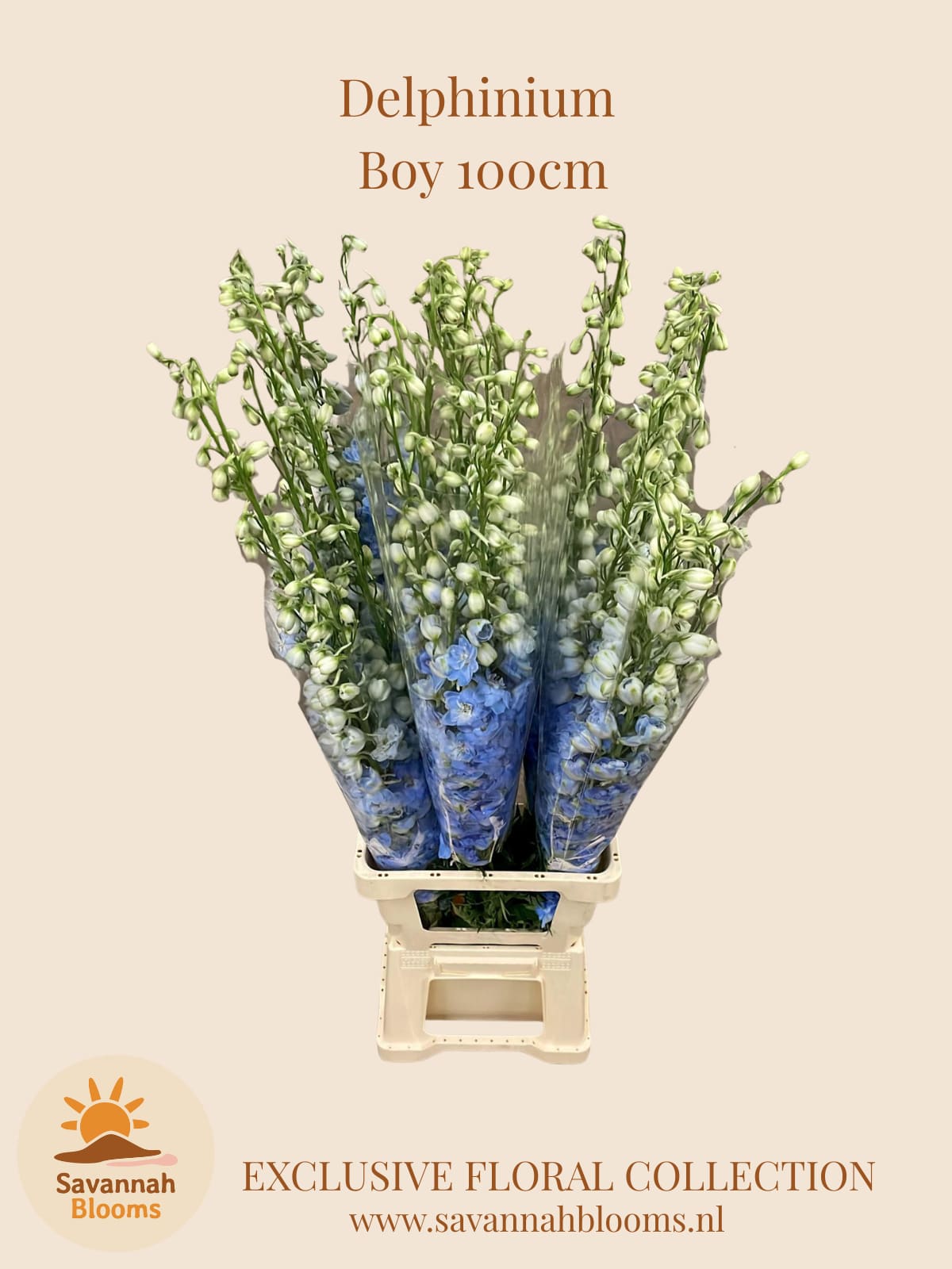Срезанные цветы оптом Delphinium el dewi boy от 20шт. из Голландии с доставкой по России