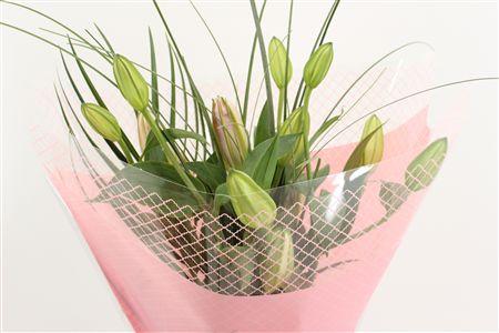 Срезанные цветы оптом Bouquet mono lilium pink 3 от 10шт из Голландии с доставкой по России