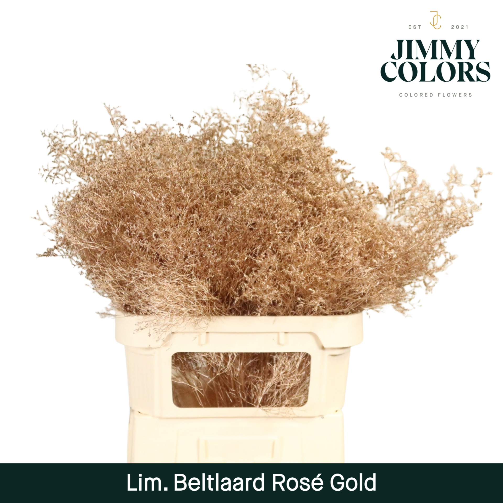 Срезанные цветы оптом Limonium beltlaard paint metallic pink gold от 25шт. из Голландии с доставкой по России