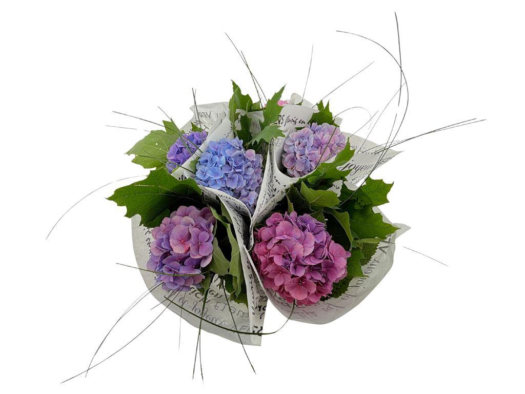 Срезанные цветы оптом Bouquet mix hydrangea от 6шт из Голландии с доставкой по России