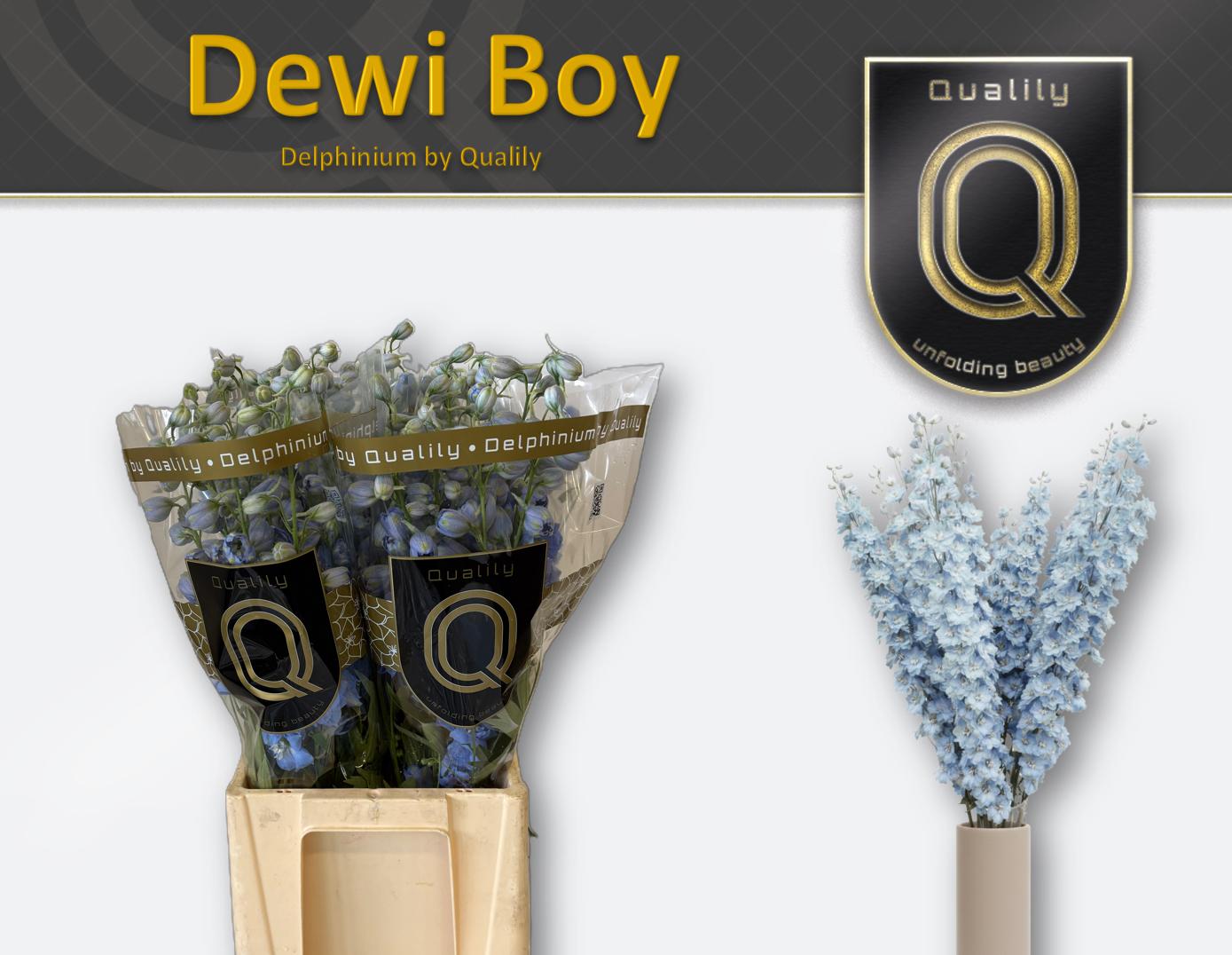 Срезанные цветы оптом Delphinium el dewi boy от 40шт из Голландии с доставкой по России