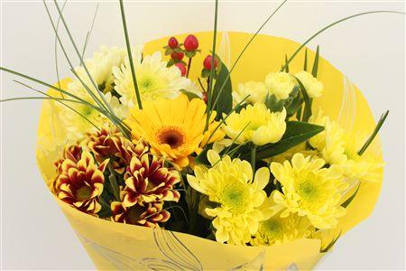 Срезанные цветы оптом Bouquet micro yellow от 10шт из Голландии с доставкой по России