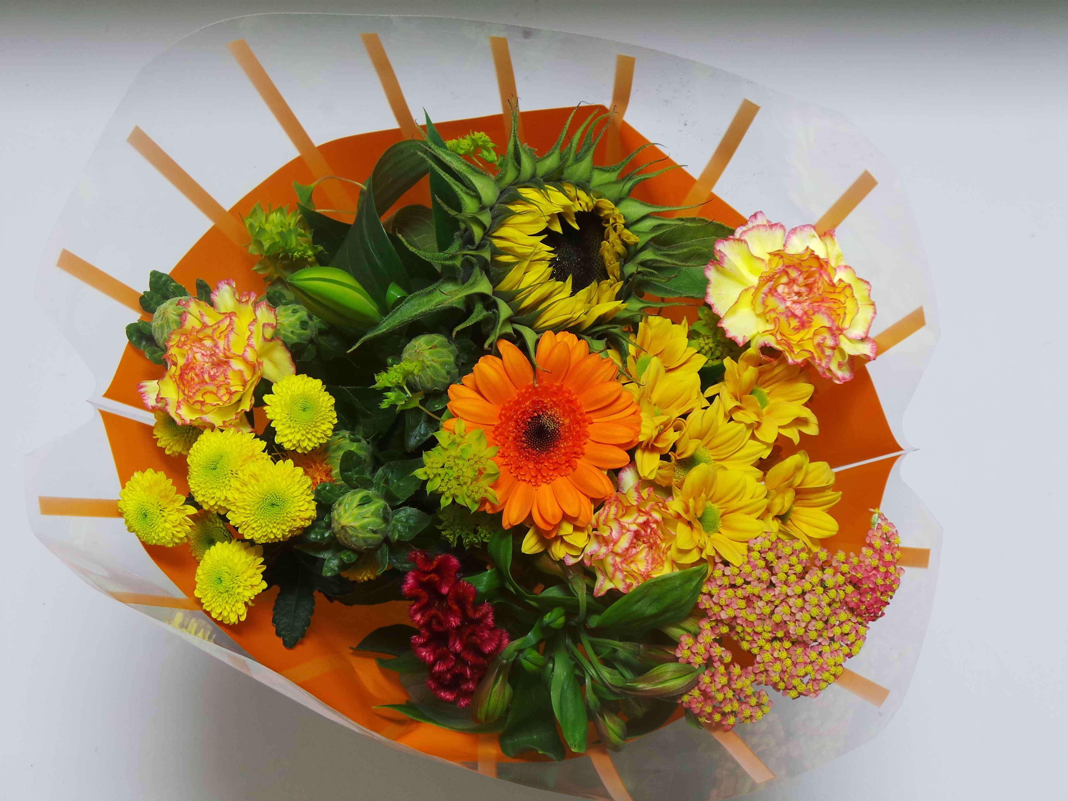 Срезанные цветы оптом Bouquet 13 stems orange от 4шт из Голландии с доставкой по России