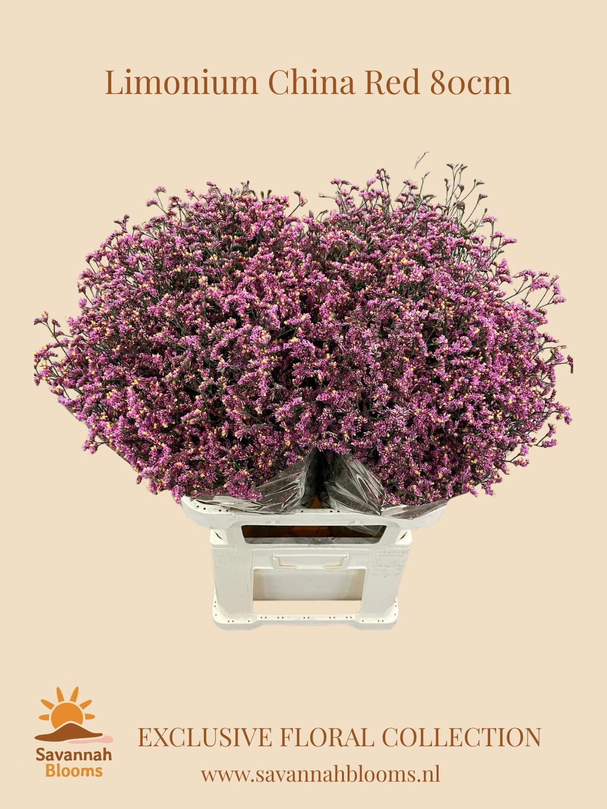 Срезанные цветы оптом Limonium china red от 50шт из Голландии с доставкой по России