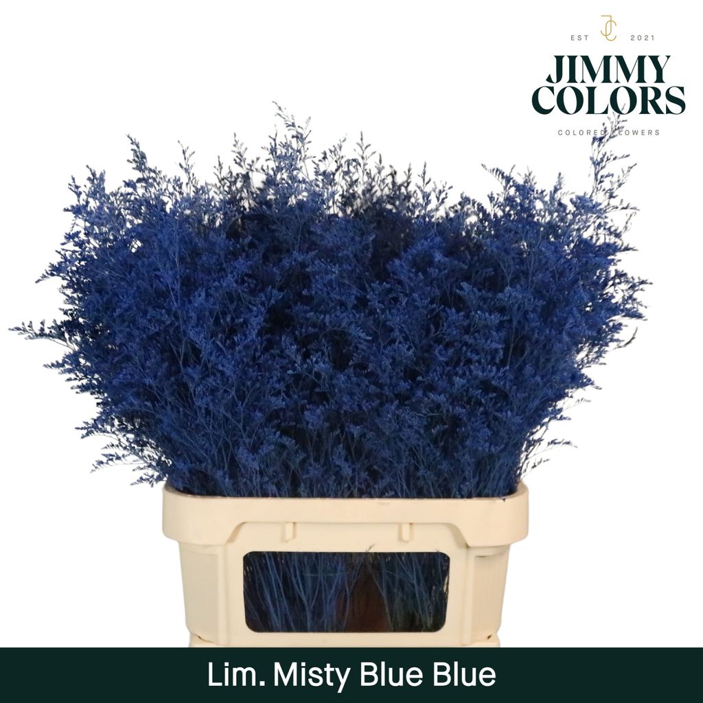 Срезанные цветы оптом Limonium misty blue paint blue от 50шт из Голландии с доставкой по России