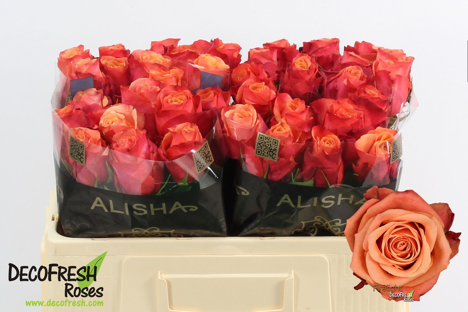 Срезанные цветы оптом Rosa large firelight+ от 60шт из Голландии с доставкой по России