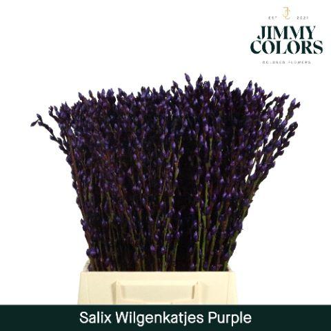Срезанные цветы оптом Salix paint pussy willow purple от 300шт из Голландии с доставкой по России