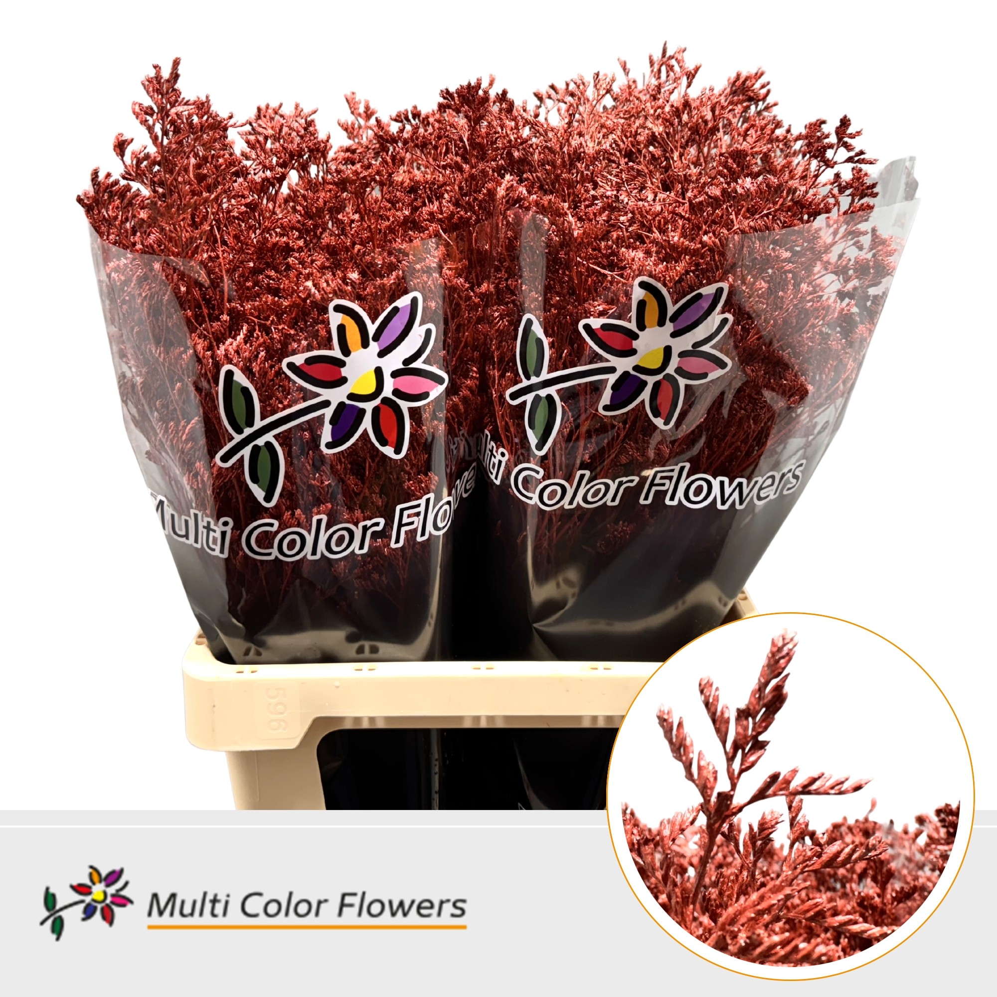 Срезанные цветы оптом Limonium paint metallic red от 50шт. из Голландии с доставкой по России