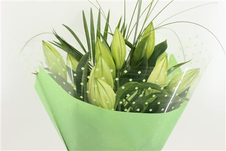 Срезанные цветы оптом Bouquet mono lilium white от 10шт из Голландии с доставкой по России