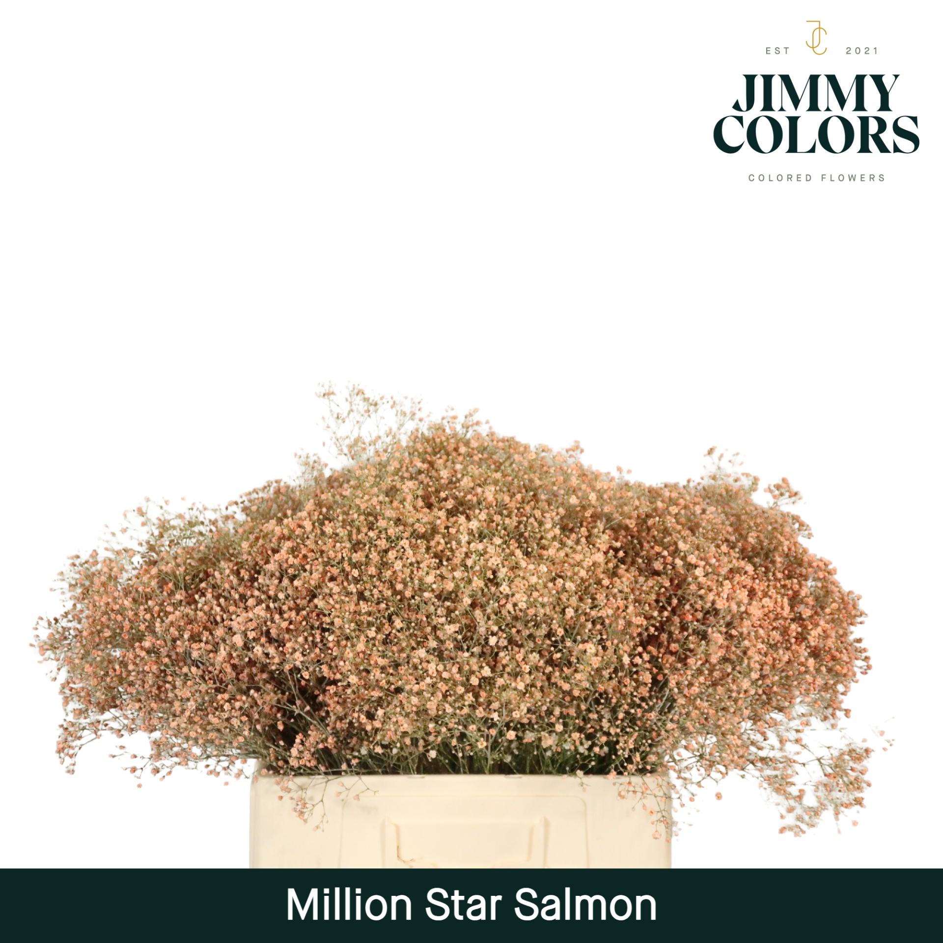 Срезанные цветы оптом Gyps fine paint salmon от 25шт из Голландии с доставкой по России