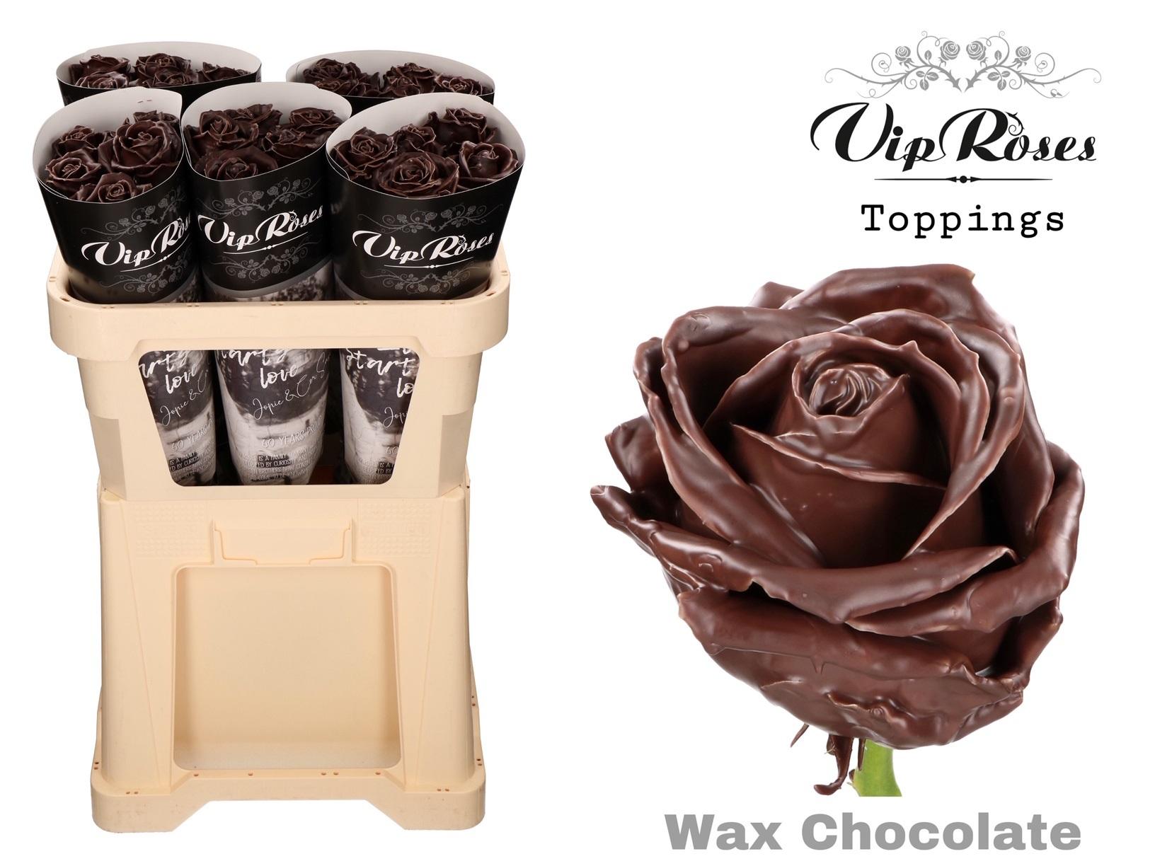 Срезанные цветы оптом Rosa large wax chocolat от 30шт из Голландии с доставкой по России